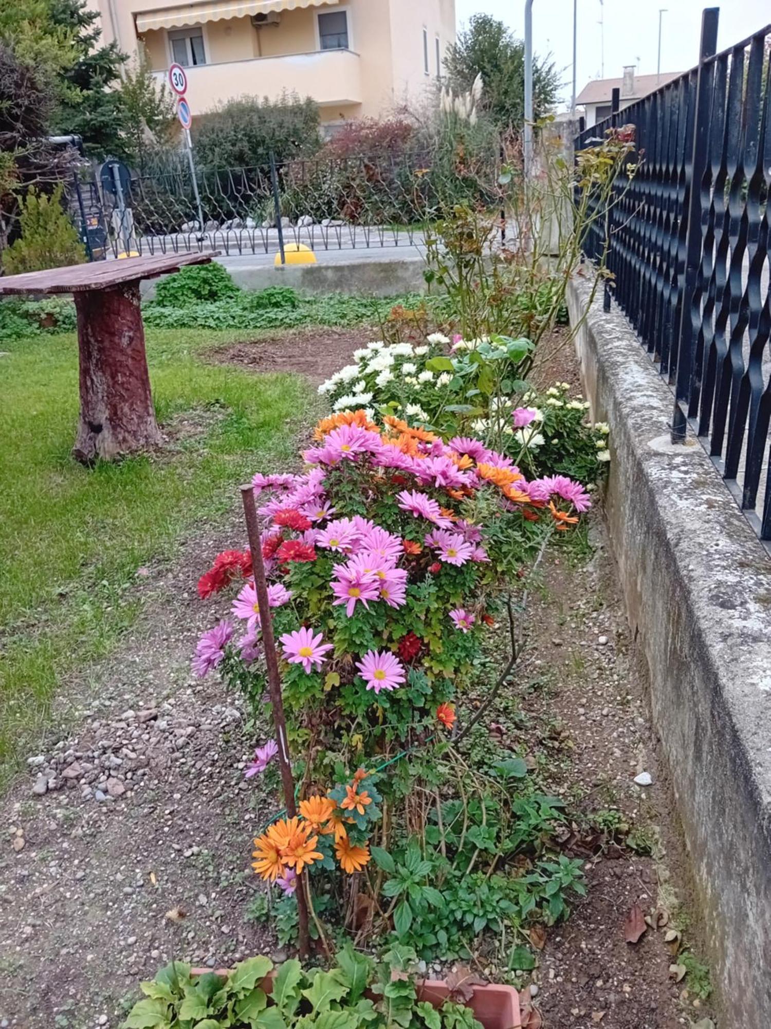 מונפלקונה Villa Azzurra מראה חיצוני תמונה